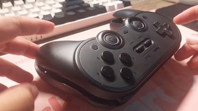 8bitdo Pro2 Analog Cap Replacement (in Filipino)