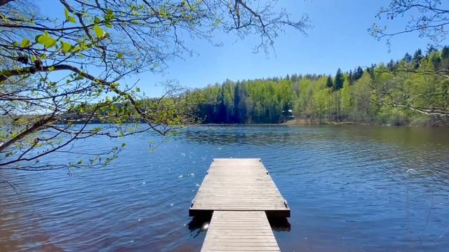 The Nature of Finland in Spring - Relaxation Video смотреть онлайн