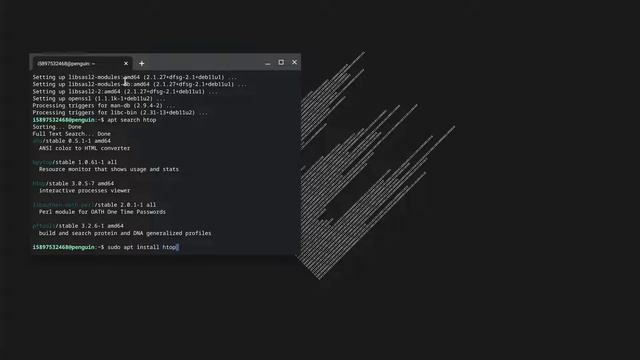 Chrome OS FLEX install HTOP смотреть онлайн
