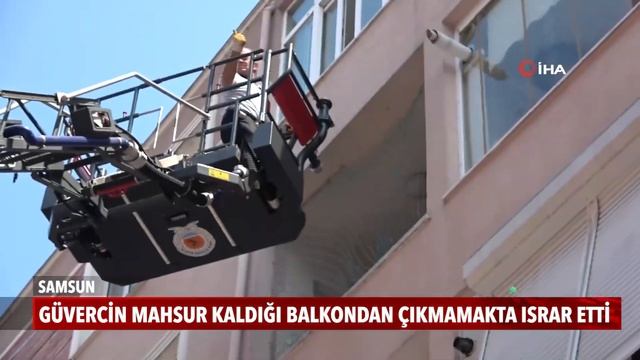 Güvercin mahsur kaldığı balkondan çıkmamakta ısrar etti смотреть онлайн