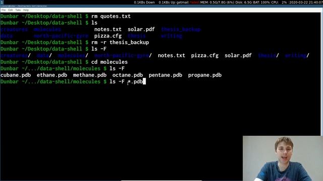 The Unix Shell - Working with Files and Directories Part 2 - Software Carpentry смотреть онлайн