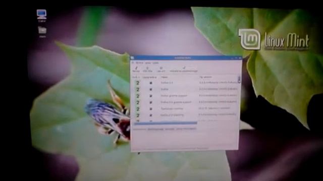Installera Linux Mint 6 Felicia, del 5, anpassningar смотреть онлайн