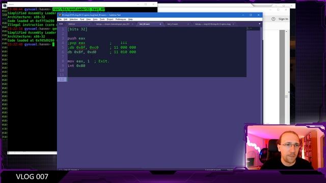 Vlog #007: Genetic Programming and QEMU bugs смотреть онлайн