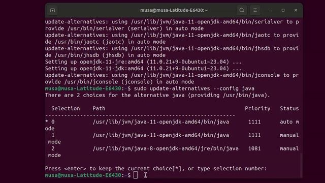 Cannot run on older version of Java than java11 please install 11 or new or use jdkhome switch t смотреть онлайн