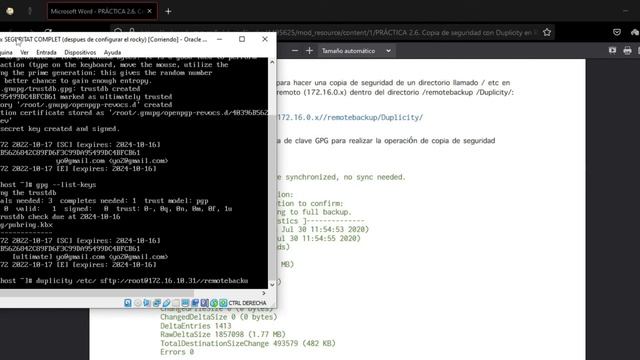 PRÁCTICA 2.6 Copia de seguridad con Duplicity CARLOS FERRER смотреть онлайн