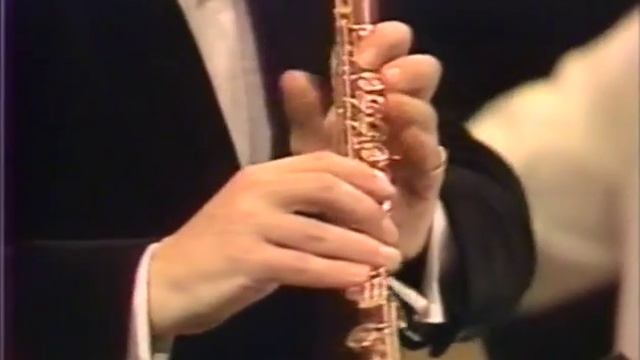 Vivaldi's The 4 Seasons for Flute Concerto No. 4 in F minor RV 297 смотреть онлайн