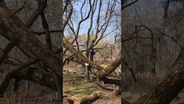 Благодарности пост от 19 апреля смотреть онлайн