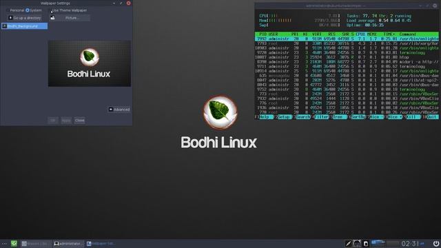 Bodhi Linux 4.4.0 Run Through смотреть онлайн