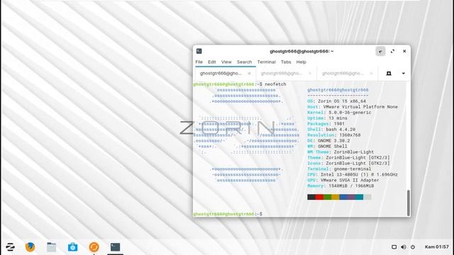 Distro Linux - Zorin OS 15 - Desktop Environment Gnome 3 смотреть онлайн