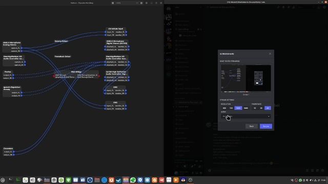 Discord Screenshare Audio | Linux Mint | "Solution" смотреть онлайн