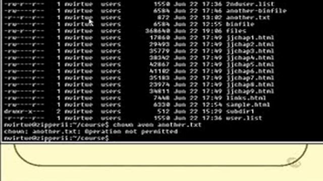 Linux and Unix Basics : Changing File Ownership смотреть онлайн