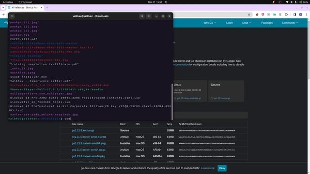 How to install go lang within 2 min in your unix system смотреть онлайн