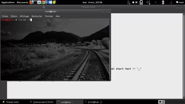 TUTO ! How To Install Toilet in Kali Linux смотреть онлайн