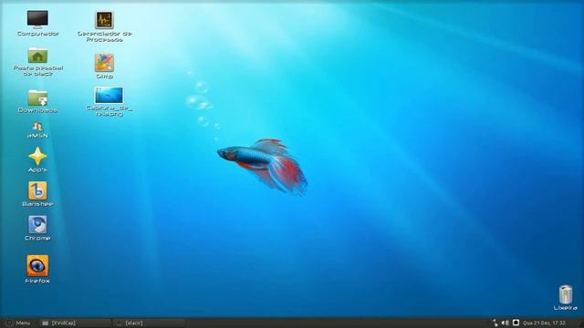 Review Linux Mint 12 Lisa смотреть онлайн