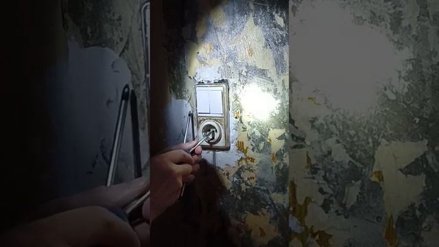 #shotrs мой батя клеит обои #дом #ремонт#барнаул #ляпата смотреть онлайн
