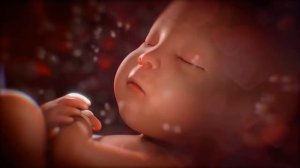 Белый шум ♥ Сердцебиения мамы для младенцев 👶звуки в утробе матери для сна малыша ♥ Музыка для сна