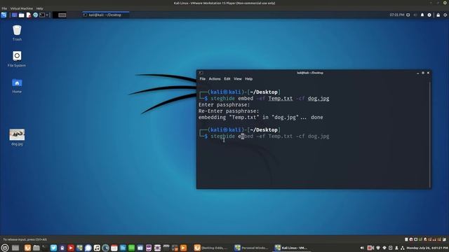 Steganography Using Steghide смотреть онлайн