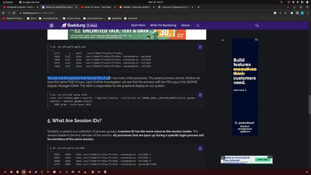 385 what is PGID in linux? смотреть онлайн
