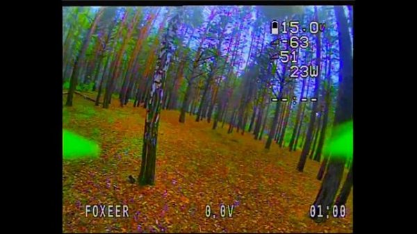 DVR на whoope, в лесу, летаю на тройке.