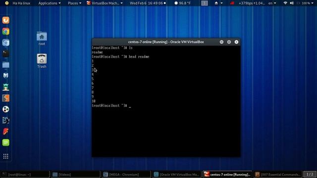 018 head tail cat more less смотреть онлайн