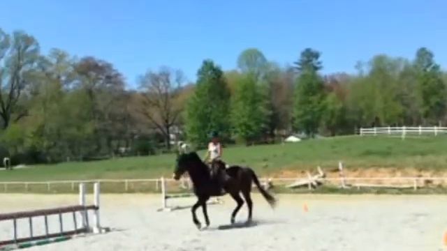Ambato Chapa, Dressage Clinic. 01 смотреть онлайн