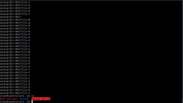 206.2 การ backup смотреть онлайн