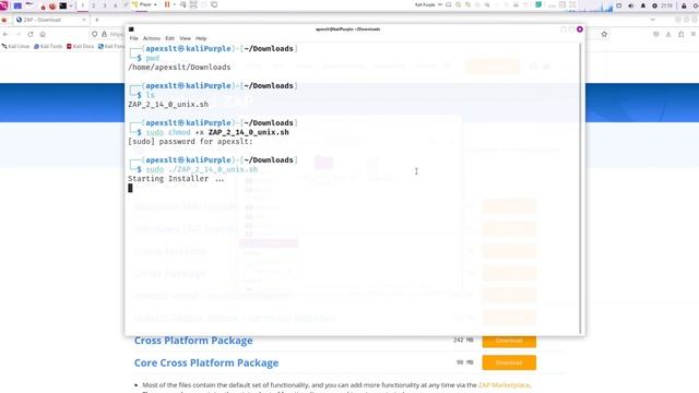 How to install OWASP ZAP on Kali Linux Purple in 2024: An easy step by step guide in under 5mins. смотреть онлайн