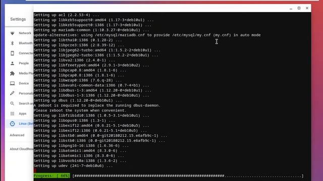 How to install Habbo Flash client on Chromebooks & Linux смотреть онлайн