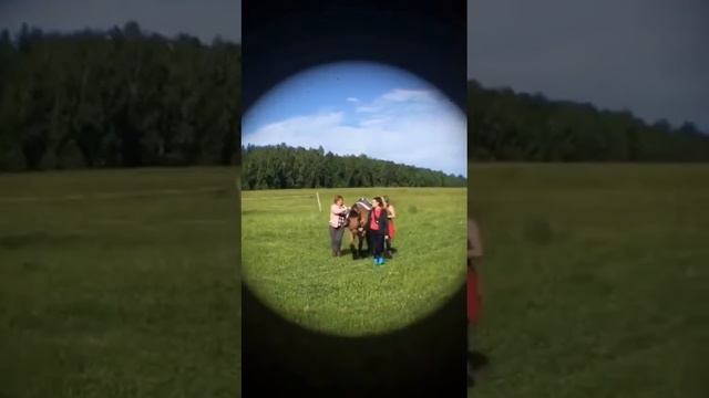 Сейчас на Федеральном портале проектов НПА идет общественное обсуждение проекта. смотреть онлайн