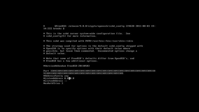 How to change the port for SSH in FreeBSD by Nicholas Lee Fagan смотреть онлайн