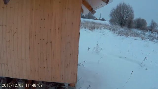 Апидомик начало смотреть онлайн