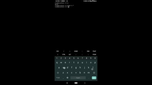 Cách tạo hosting từ điện thoại Android bằng NGrok & KS WEB || KiMiDev смотреть онлайн