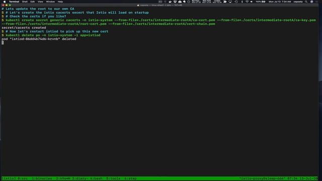 Istio 1.6 Deep Dive Certificate Rotation - Part 1 смотреть онлайн