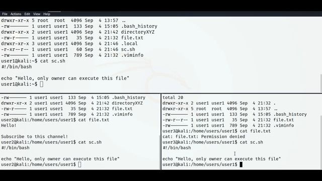 Linux File Permissions 101 - Explanation WITH EXAMPLES смотреть онлайн