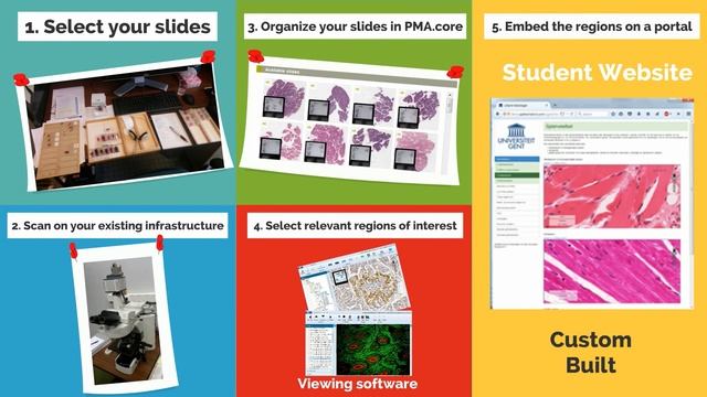 Pathomation software platform for digital pathology смотреть онлайн