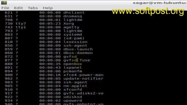 How to find the process id in Bash смотреть онлайн