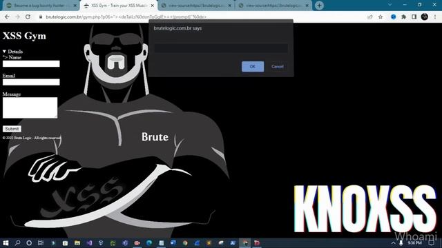 Automated XSS Finding | XSStrike | Bug Bounty смотреть онлайн