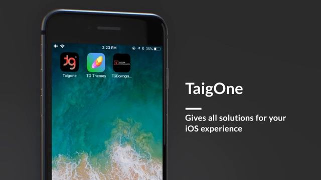 TaigOne For IOS 11 & Later