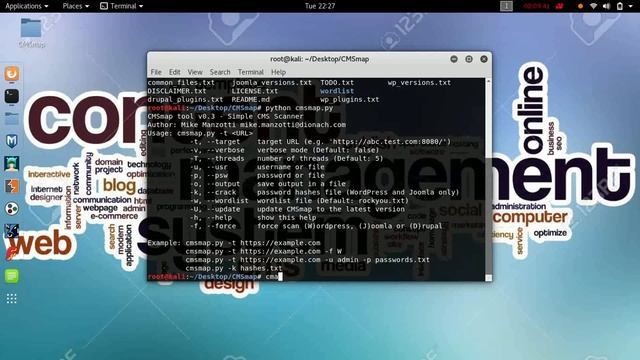 What is CMS? | CMS Testing смотреть онлайн