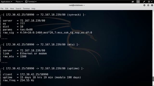 Passive Fingerprinting смотреть онлайн