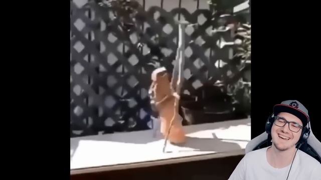 Top 5 🗿 _ Реакция на заказ смотреть онлайн