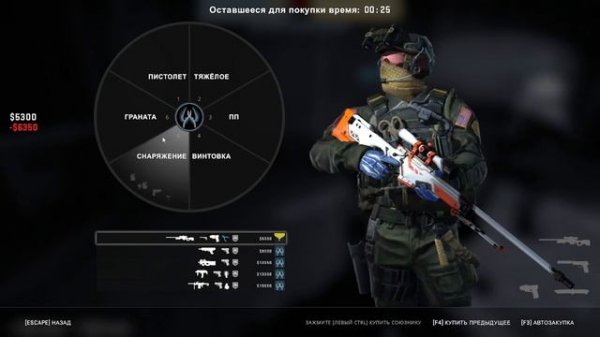 ИГРАЮ В CS GO С БОТАМИ CS СО ВСЕМИ СКИНАМИ