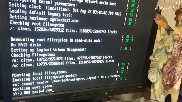 How to reset root user password red hat Linux server смотреть онлайн