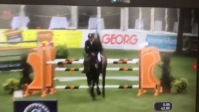 Sold USA 🇺🇸 8 yo gp prospect Eldorado van de zeshoek x Cento gelding for sale смотреть онлайн