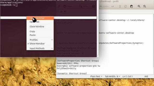 adding shortcuts to the ubuntu software center icon unity/natty смотреть онлайн