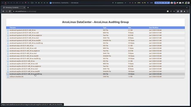 ArcoLinux : 3798 NEWS - new Hyprland, Sway and Wayfire online on AAG - no conflicts in packages her смотреть онлайн