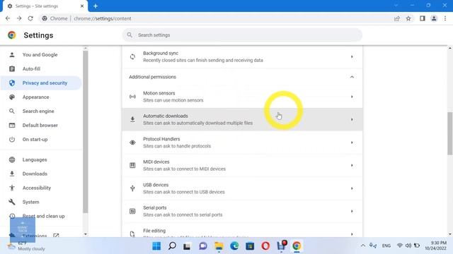 How to Manage & View Permissions & data stored across Sites on Google Chrome Browser смотреть онлайн