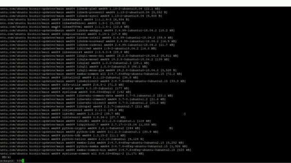 Install NxWitness / DW Spectrum / Hanwha Wave on Ubuntu 18 Linux Server Headless via Terminal