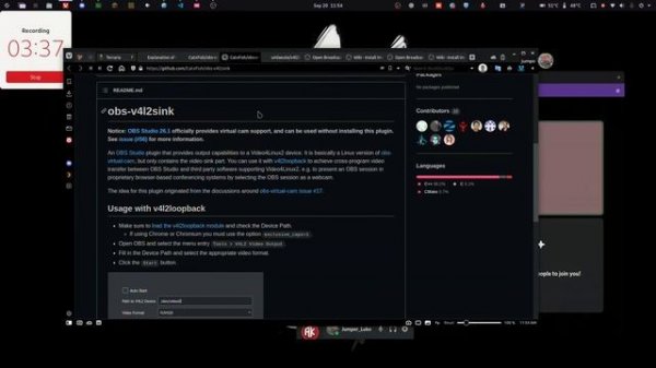 Discord stream c/ obs studio (Linux)